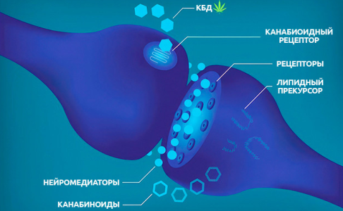 1742211235649.png 1742211235649.png