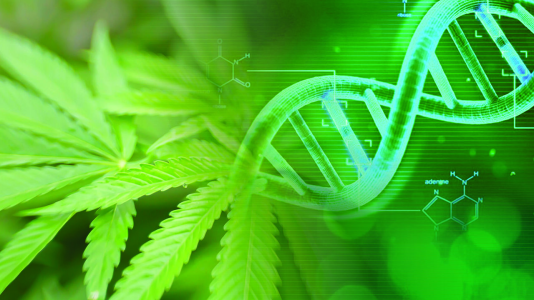 1743181026522.png 1743181026522.png