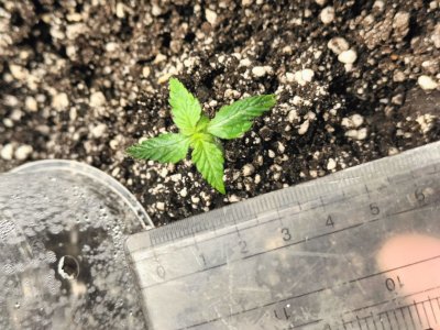 photo_2025-04-03_06-46-46 (2).jpg