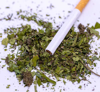 1743958352004.png 1743958352004.png