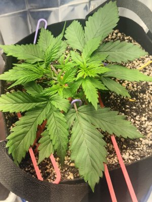 photo_2025-04-16_09-14-02 (2).jpg