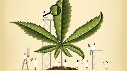 1744806488122.png 1744806488122.png