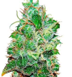 1744876284719.png 1744876284719.png