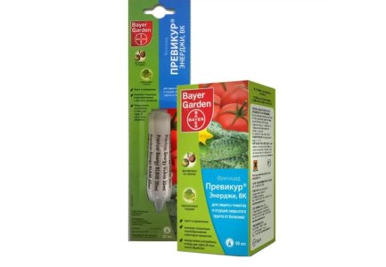 scale_1200.jpg scale_1200.jpg