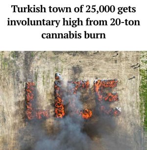 photo_2025-05-02_19-18-55.jpg photo_2025-05-02_19-18-55.jpg