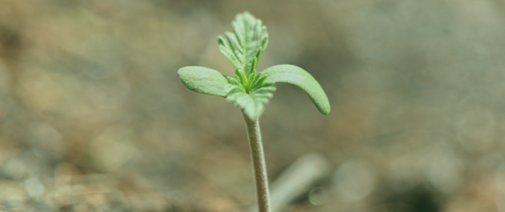 1746385923903.png 1746385923903.png