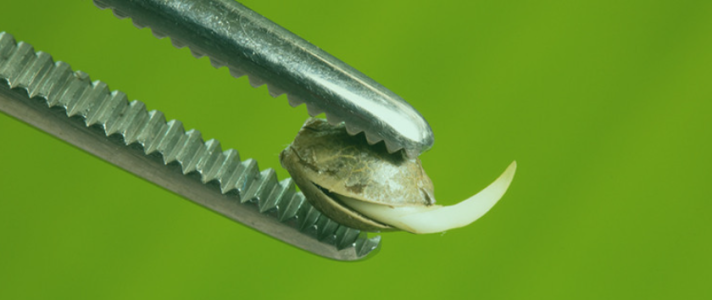 1746385949448.png 1746385949448.png