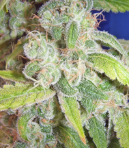 1649176056747.png 1649176056747.png