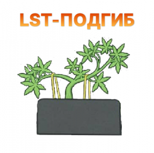 LST.png