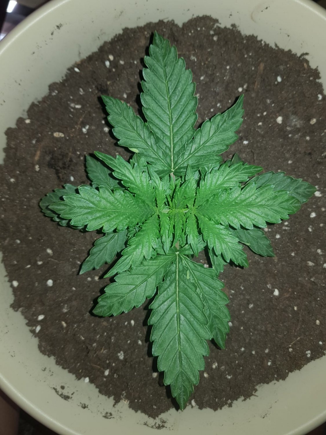 IMG-20220406-WA0002.jpg IMG-20220406-WA0002.jpg