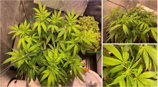 12.04 1.jpg 12.04 1.jpg