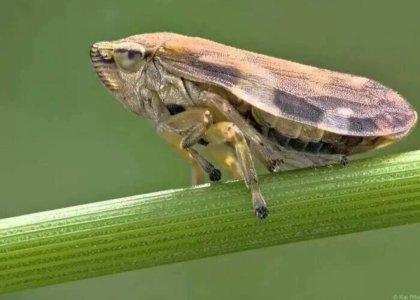 Screenshot_20250510-120544.jpg Screenshot_20250510-120544.jpg