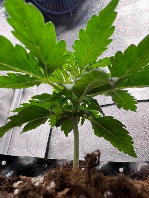 photo_2025-05-10_23-13-32 (2).jpg