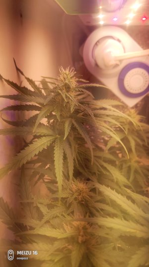 2025-05-11 140750.jpg