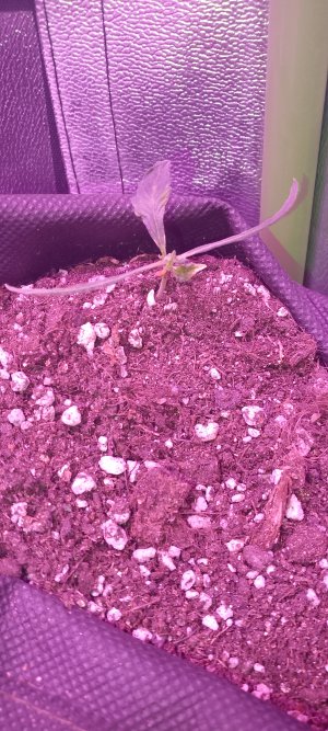 1000003094.jpg 1000003094.jpg