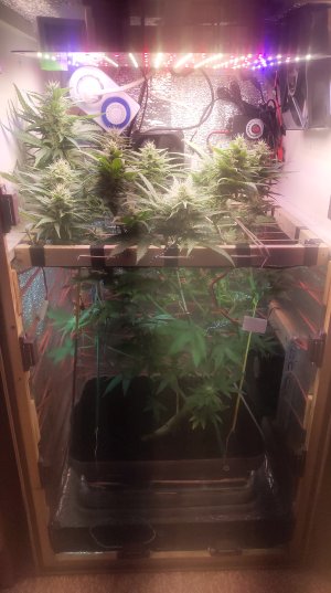 2025-05-15 094553.jpg