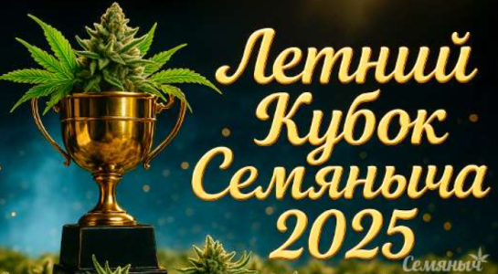 1747824332636.png 1747824332636.png