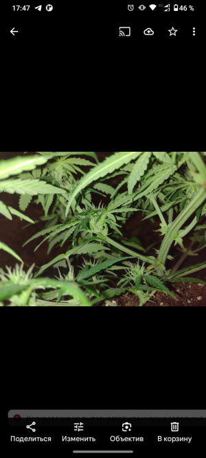 Screenshot_20250521-174756.png Screenshot_20250521-174756.png