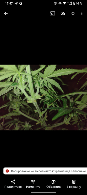 Screenshot_20250521-174751.png Screenshot_20250521-174751.png