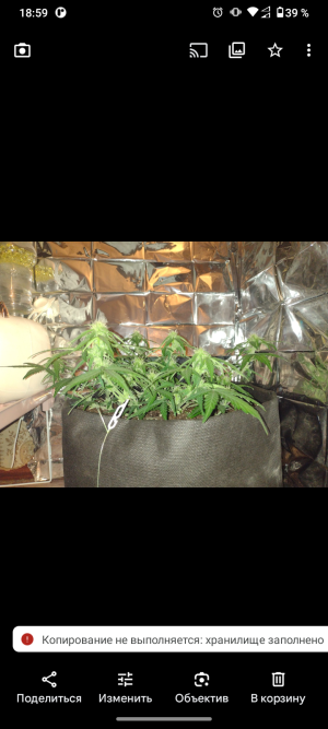 Screenshot_20250521-185916.png Screenshot_20250521-185916.png