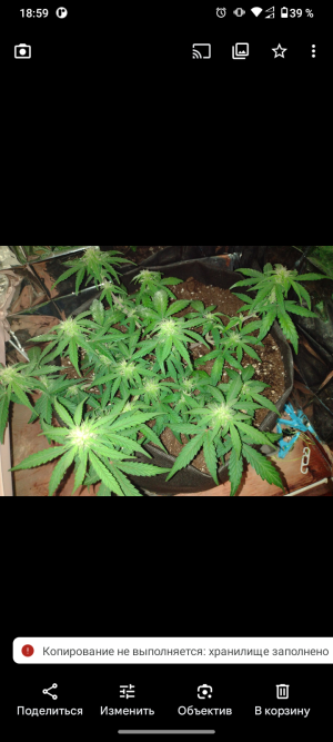 Screenshot_20250521-185912.png Screenshot_20250521-185912.png