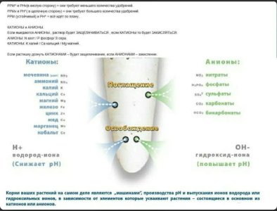 Screenshot_20250509-120504 (1).jpg