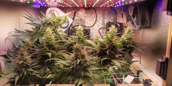 P50525-160334 (1).jpg