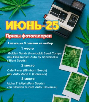 июнь-анонс.jpg июнь-анонс.jpg