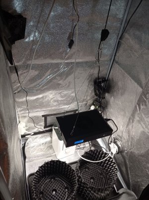 Без имени.jpg