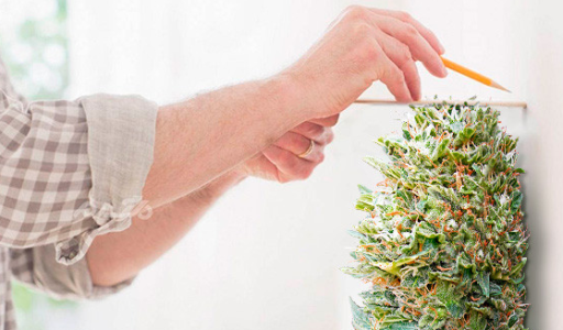 1749652063104.png 1749652063104.png