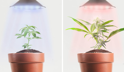 1749653469329.png 1749653469329.png