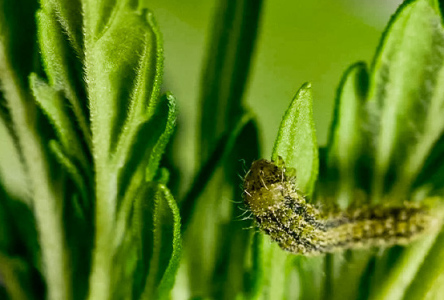 1749655647684.png 1749655647684.png