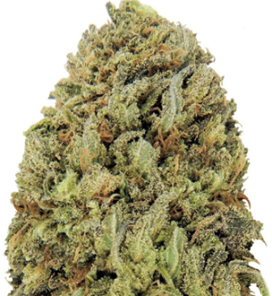 1749658553025.png 1749658553025.png