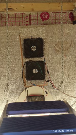 IMG_20250617_104915.jpg IMG_20250617_104915.jpg