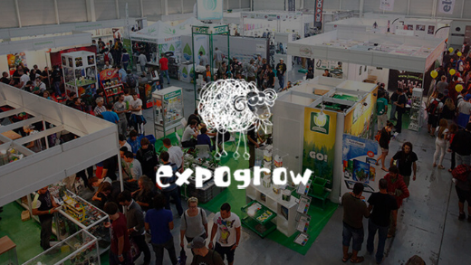 1750163396076.png 1750163396076.png