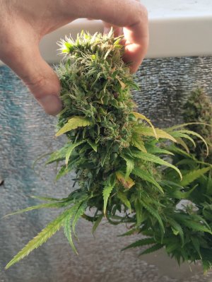 P50618-191345(1) (1).jpg