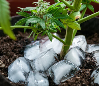 1750666990845.png 1750666990845.png