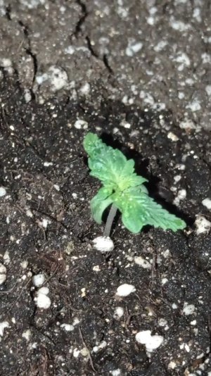 Без имени 5.jpg