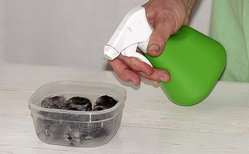 smachivanie-torfyanyh-tabletok__slx1BrxKxBHdNUL6.jpg smachivanie-torfyanyh-tabletok__slx1BrxKxBHdNUL6.jpg