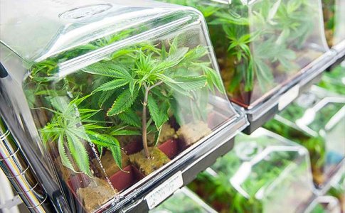 sozdanie-idealnoy-sredy-dlya-ukoreneniya__3CIs0MuHoLEpK6sx.jpg sozdanie-idealnoy-sredy-dlya-ukoreneniya__3CIs0MuHoLEpK6sx.jpg