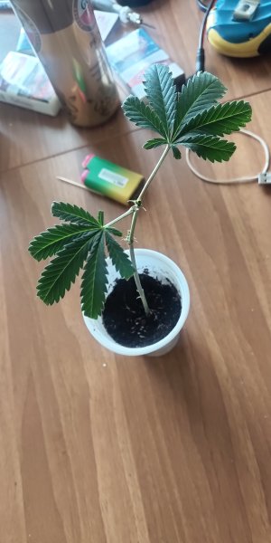 P50626-173046 (1).jpg