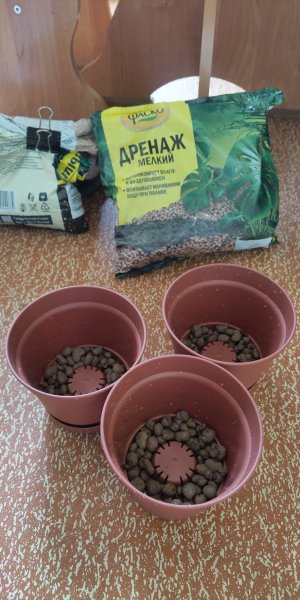 P50626-180825 (1).jpg