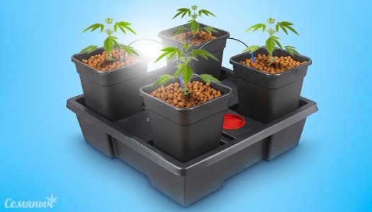 kak-nastroit-avtopoliv__0HrqcTuK9zV0MhTo.jpg kak-nastroit-avtopoliv__0HrqcTuK9zV0MhTo.jpg