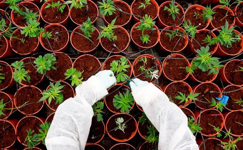 chto-takoe-fertigaciya__M6Nzd2S4s4KXdIfL.jpg chto-takoe-fertigaciya__M6Nzd2S4s4KXdIfL.jpg