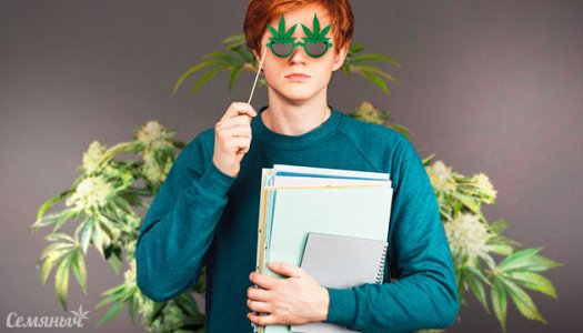 kakie-professii-est-na-kanna-rynke__6N3phdWX7eD477VZ.jpg kakie-professii-est-na-kanna-rynke__6N3phdWX7eD477VZ.jpg