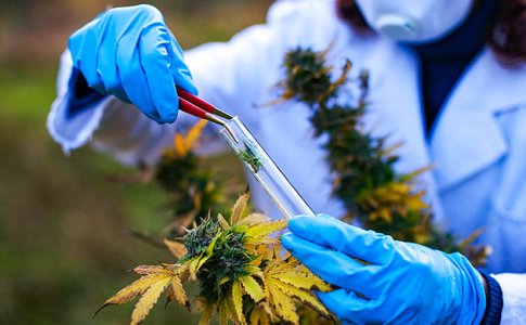 Rabota-v-sfere-laboratornyh-issledovanij__r1B0YkPoCDjXiQVN.jpg Rabota-v-sfere-laboratornyh-issledovanij__r1B0YkPoCDjXiQVN.jpg