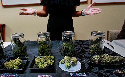 Torgovye-predstaviteli__aKVMF2rFnECysWca.jpg Torgovye-predstaviteli__aKVMF2rFnECysWca.jpg