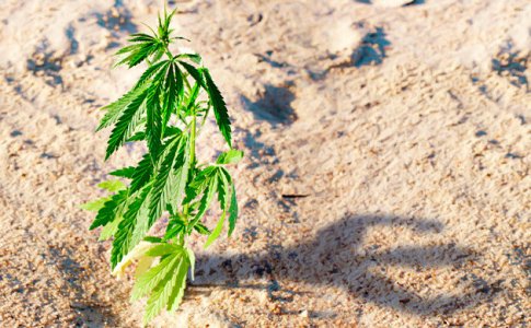 Ustojchivost-k-negativnym-vneshnim-faktoram__Lz8zulB8qmCvofAw.jpg Ustojchivost-k-negativnym-vneshnim-faktoram__Lz8zulB8qmCvofAw.jpg