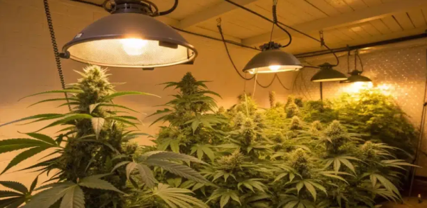 1751816887830.png 1751816887830.png