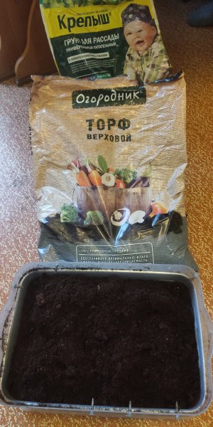 P50625-195750 (1).jpg